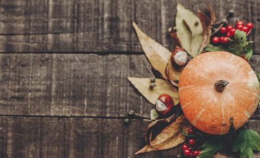 Sonbahar doğa arkaplanı