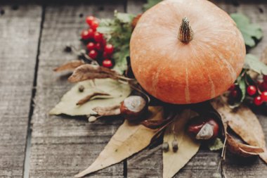 Kabak yapraklar, fındık ve çilek ile 