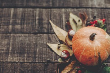 Sonbahar doğa arkaplanı 