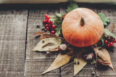 Kabak yapraklar, fındık ve çilek ile 