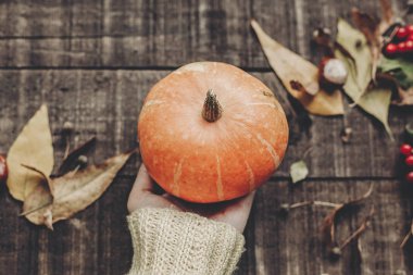 Kabak vererek süveterin içinde el