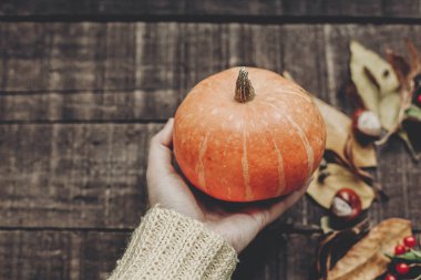 Kabak vererek süveterin içinde el