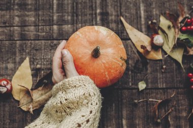 Kabak dokunmadan süveterin içinde el