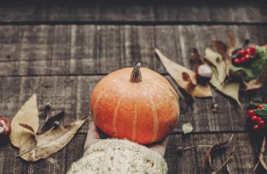 Kabak vererek süveterin içinde el