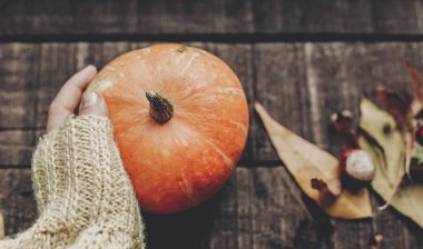 Kabak tutan süveterin içinde el