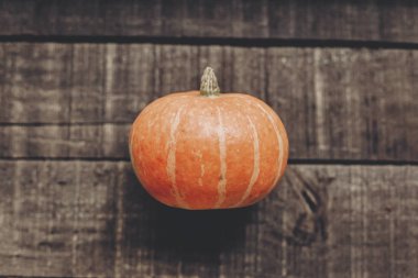 rustik arka plan üzerinde güzel kabak