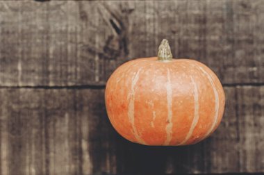 rustik arka plan üzerinde güzel kabak