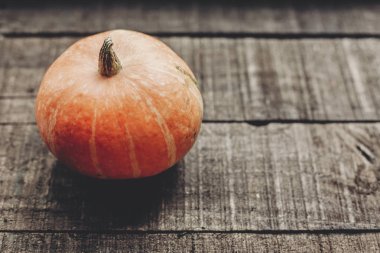 kabak ile tebrik kartı 