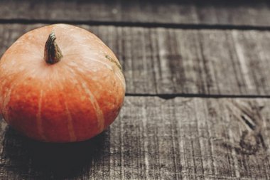 kabak ile tebrik kartı 