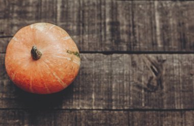 rustik arka plan üzerinde güzel kabak