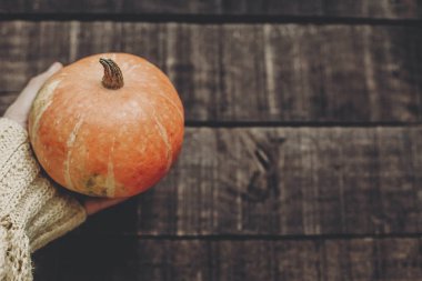 Kabak tutan süveterin içinde el