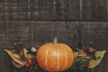 kabak, yaprak, kestane ve çilek 