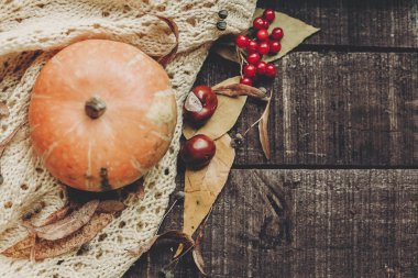 Kazak, sonbahar yaprakları ve kızılcık