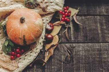 örme kazak üzerinde kabak kartıyla