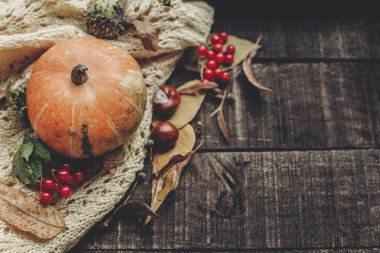 Sonbahar rustik düz lay 