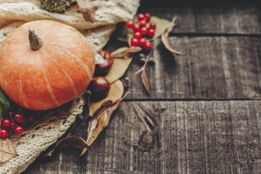 Sonbahar rustik düz lay 