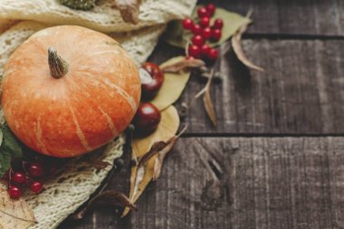 Sonbahar rustik düz lay 