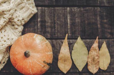 kabak, örme kazak ve yaprakları ile kartı