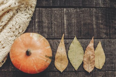 kabak, örme kazak ve yaprakları ile kartı