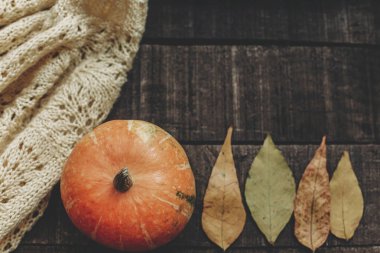 kabak, örme kazak ve yaprakları ile kartı