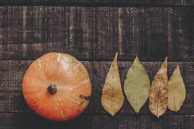 Kabak ile sonbahar yaprakları