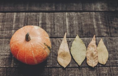 Kabak ile sonbahar yaprakları