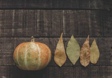 Kabak ile sonbahar yaprakları