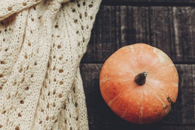 kabak ve örme kazak