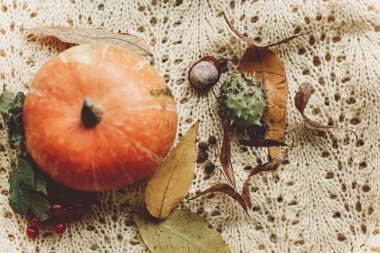 örme kazak üzerinde güzel kabak