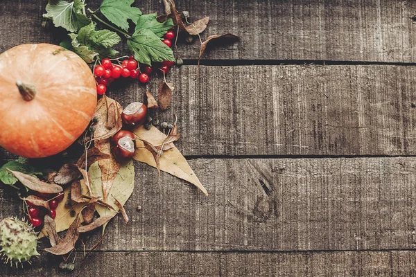 kabak, kızılcık ve sonbahar yaprakları