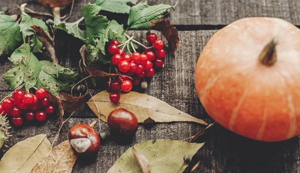 sonbahar yaprakları ve meyveleri ile kabak