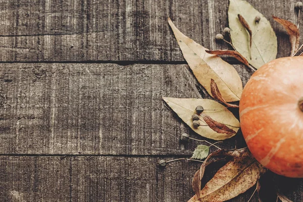 Pumpkin, berries and autumn leaves — Stock Photo, Image