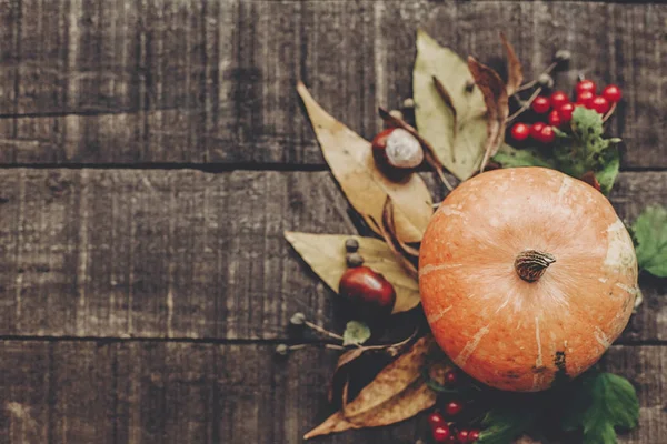 Pumpkin, cranberries and autumn leaves — Stock Photo, Image