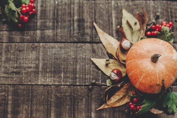 kabak, kızılcık ve sonbahar yaprakları