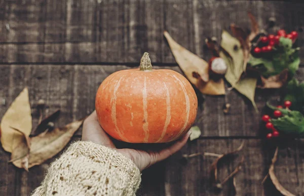 Kabak vererek süveterin içinde el