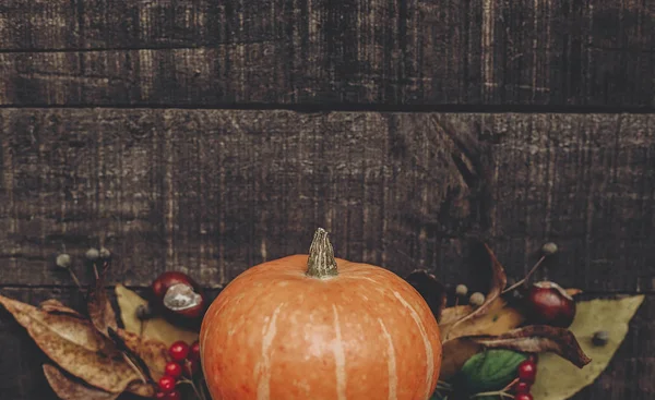 kabak, yaprak, kestane ve çilek 