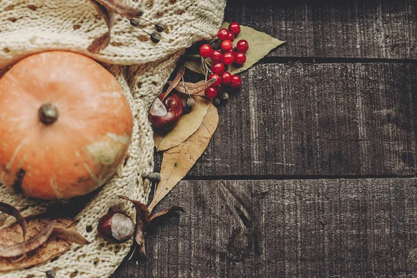 Beyaz kazak, yaprakları ve kabak