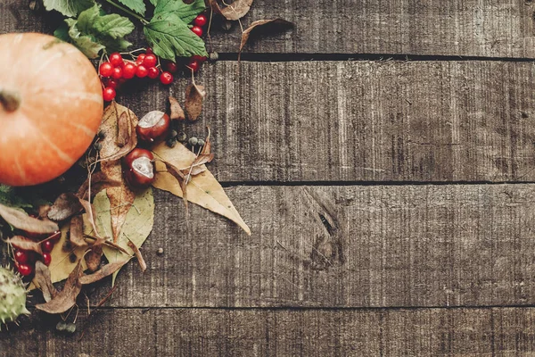 sonbahar turuncu kabak kartıyla