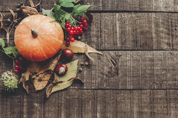 Pumpkin, leaves and berries — Stock Photo, Image