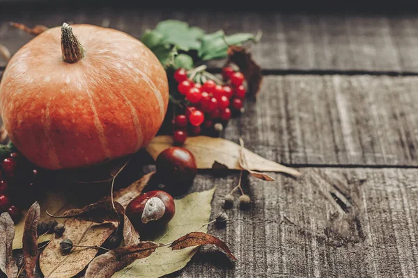 Sonbahar doğa arkaplanı 