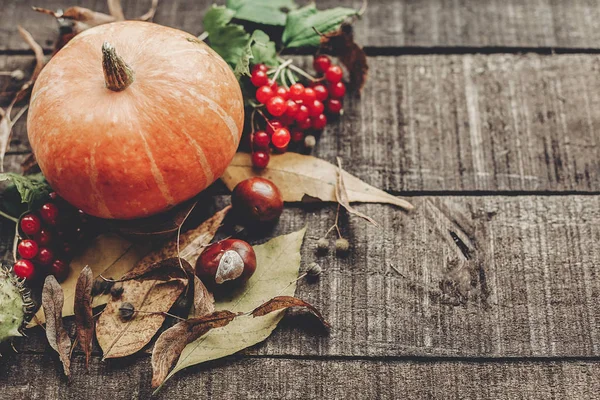 kabak, kızılcık ve sonbahar yaprakları