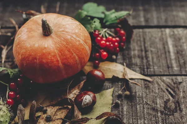 Kabak yapraklar, fındık ve çilek ile 