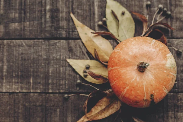 Sonbahar konsept fotoğraf