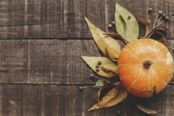 Sonbahar konsept fotoğraf