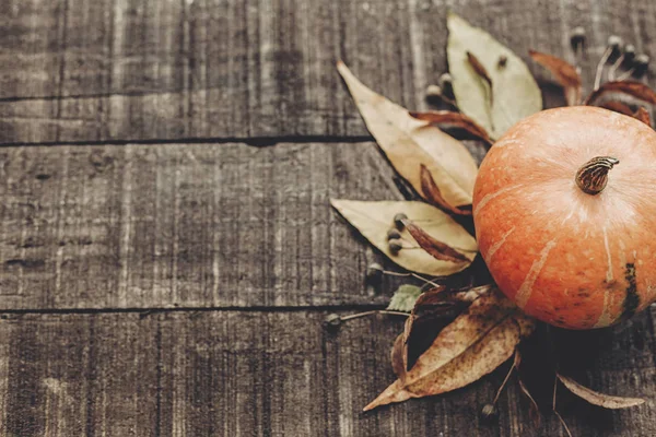 Sonbahar doğa arkaplanı 