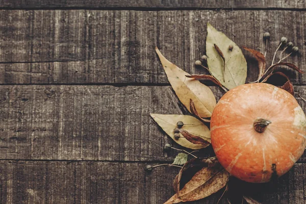 Sonbahar konsept fotoğraf