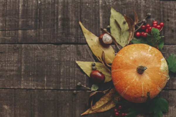 Autumn nature background — Stock Photo, Image