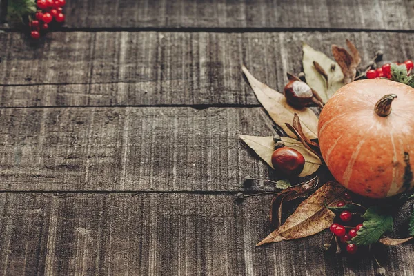 Sonbahar doğa arkaplanı 