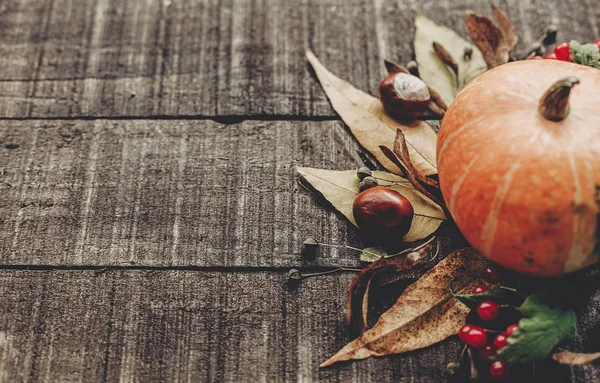 güzel kabak ile yaprakları ve rustik ahşap backg çilek