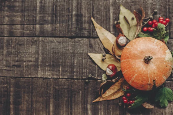 Pumpkin, leaves and berries — Stock Photo, Image